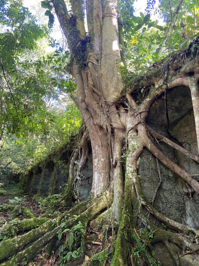 Casa Da Si Hostel Ubatuba Kültér fotó